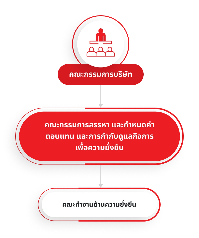 Sustainability Governance Structure